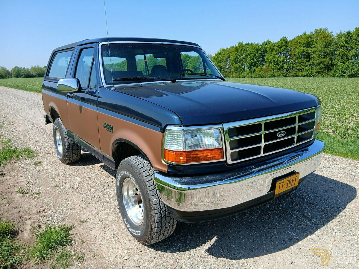 1993 Ford Bronco 1993 FordFord Bronco 5.0 V8 automatic 4X4, foto 11