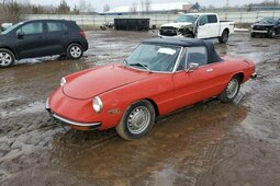 Alfa Romeo Spider Coda Tronca Descapotable / Roadster 1971