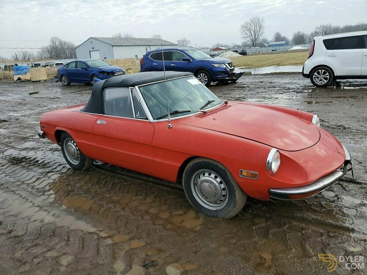 1971 Alfa Romeo Spider Coda Tronca, foto 3