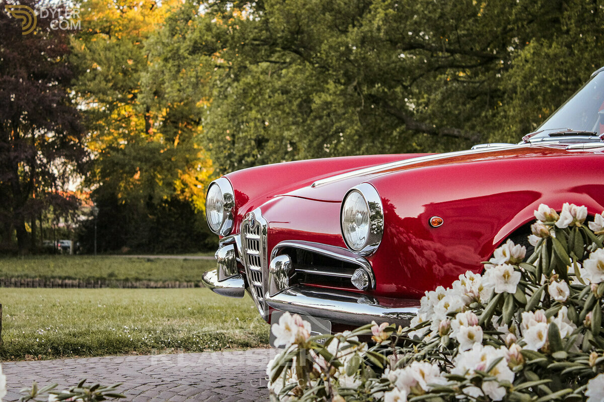1962 Alfa Romeo Giulietta Spider, foto 3
