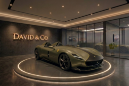 Ferrari Monza Sp2 Tailor Made Descapotable / Roadster 2019 Multicolor