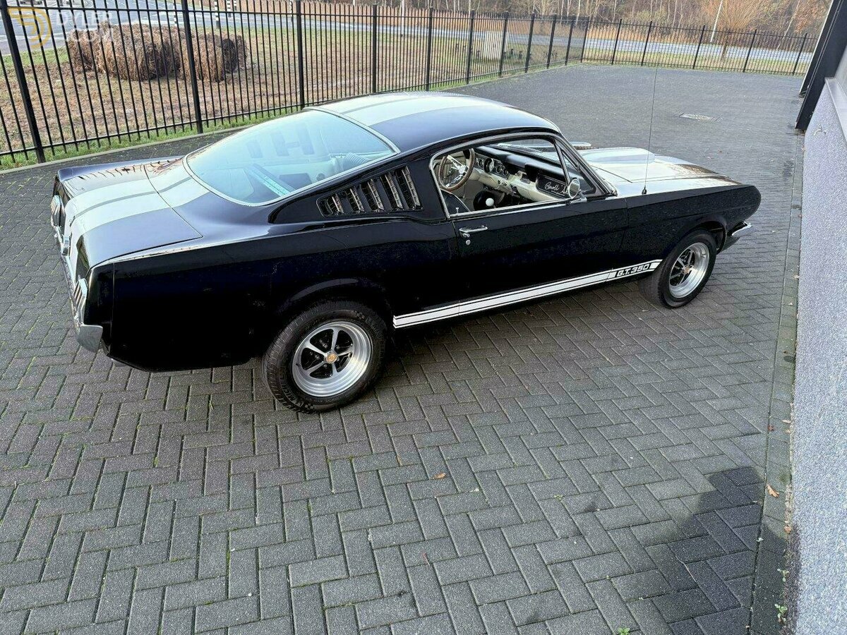 1966 Ford Mustang Fastback, foto 3