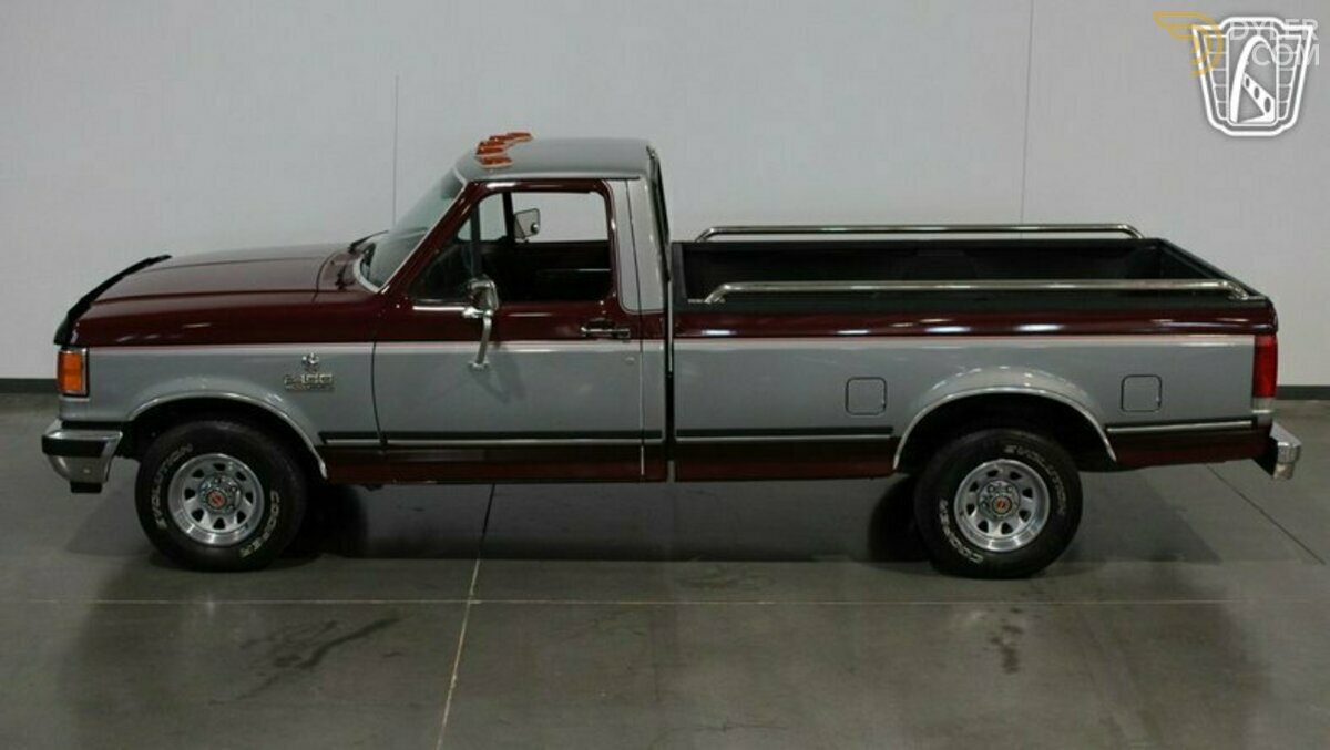 1990 Ford F-150, foto 10