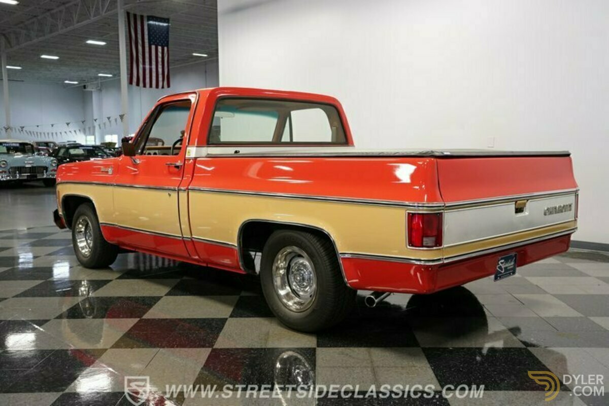 1979 Chevrolet Silverado Silverado, foto 9