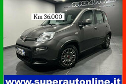 Fiat Panda 1.0 FireFly S&S Hybrid Berlina 2024 Grigio