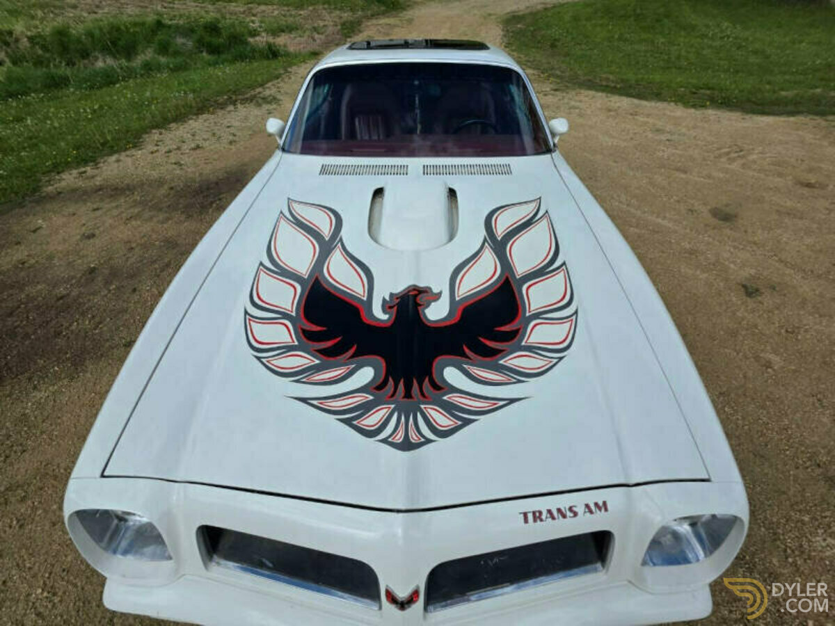 1976 Pontiac Firebird Trans Am 400, foto 3