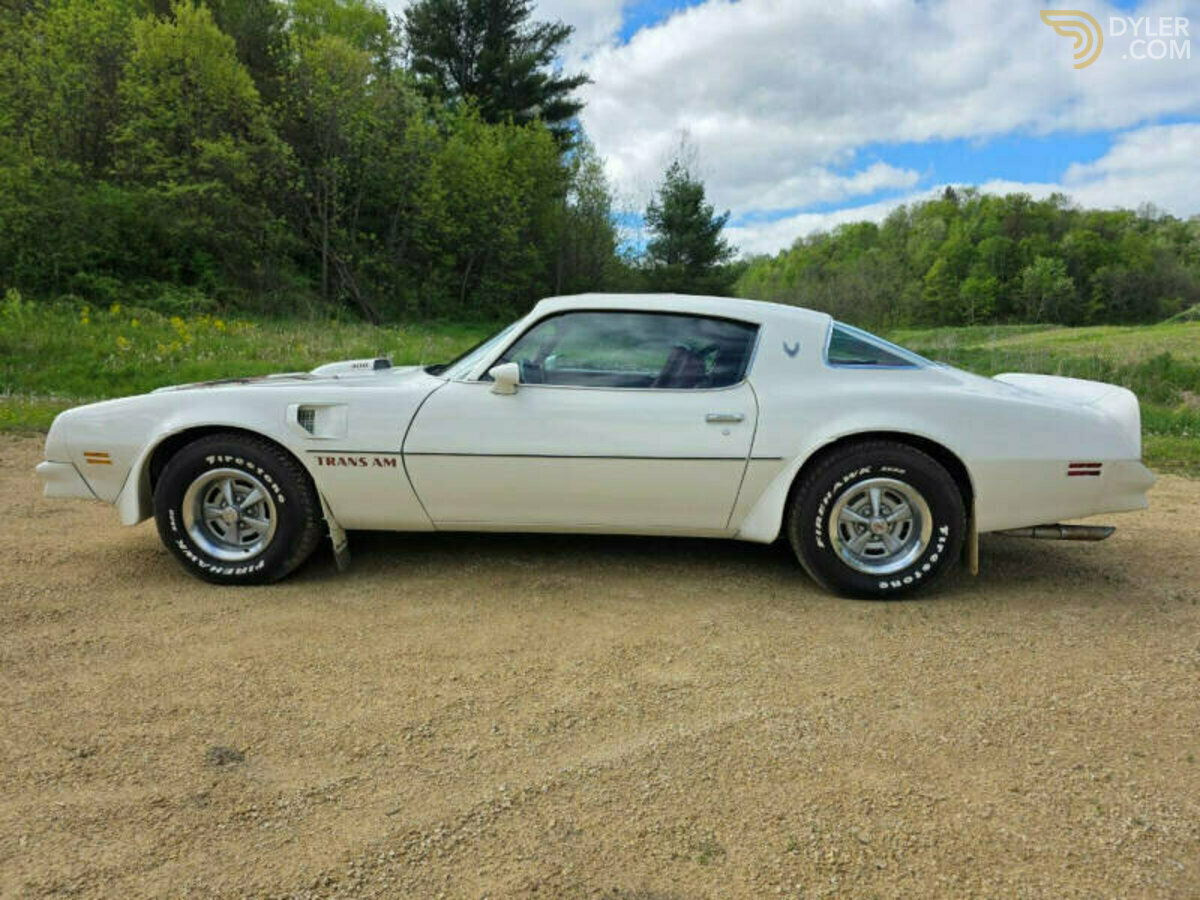 1976 Pontiac Firebird Trans Am 400, foto 4