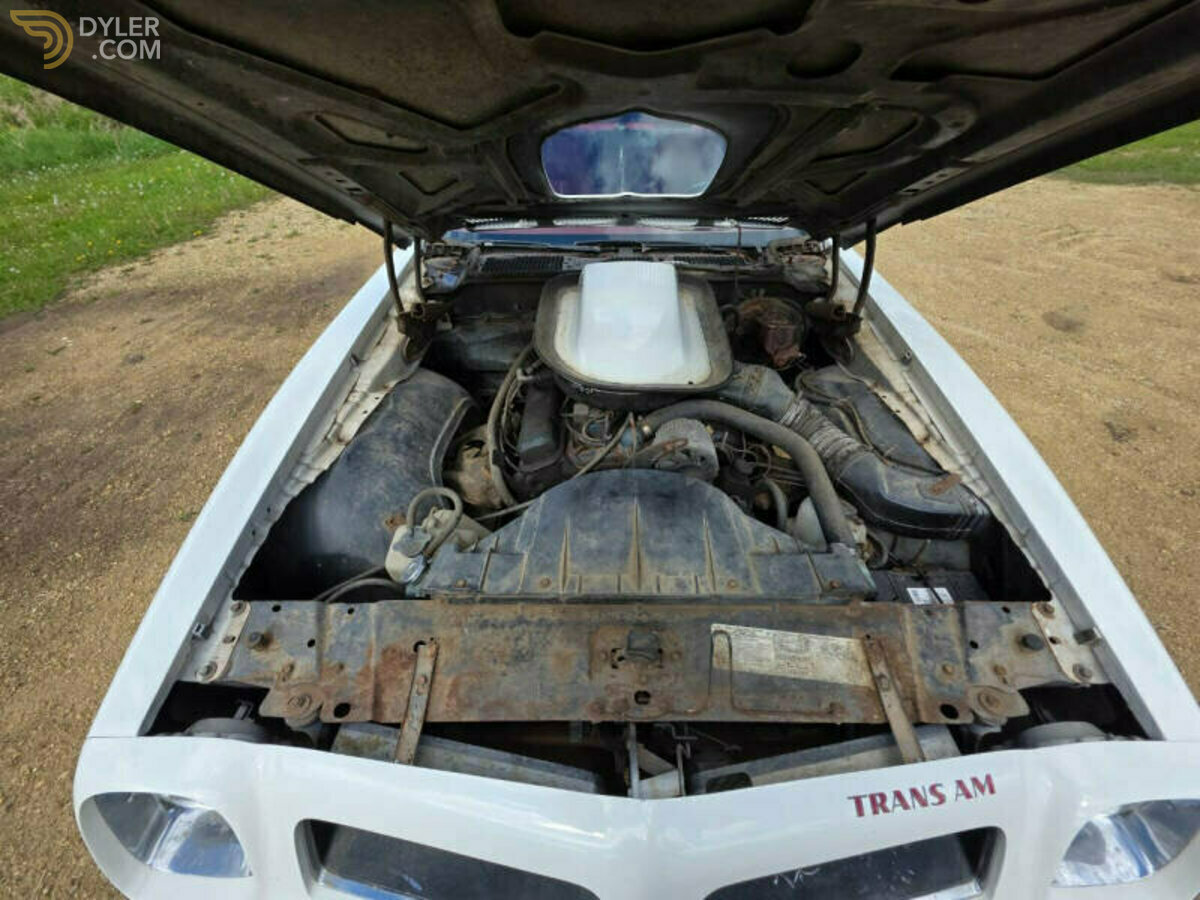1976 Pontiac Firebird Trans Am 400, foto 6