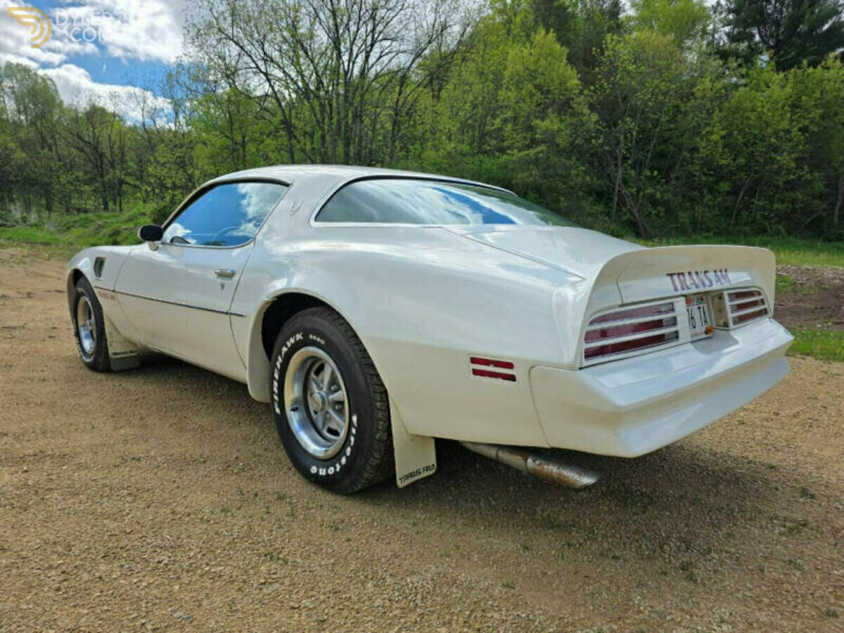 1976 Pontiac Firebird Trans Am 400, foto 5