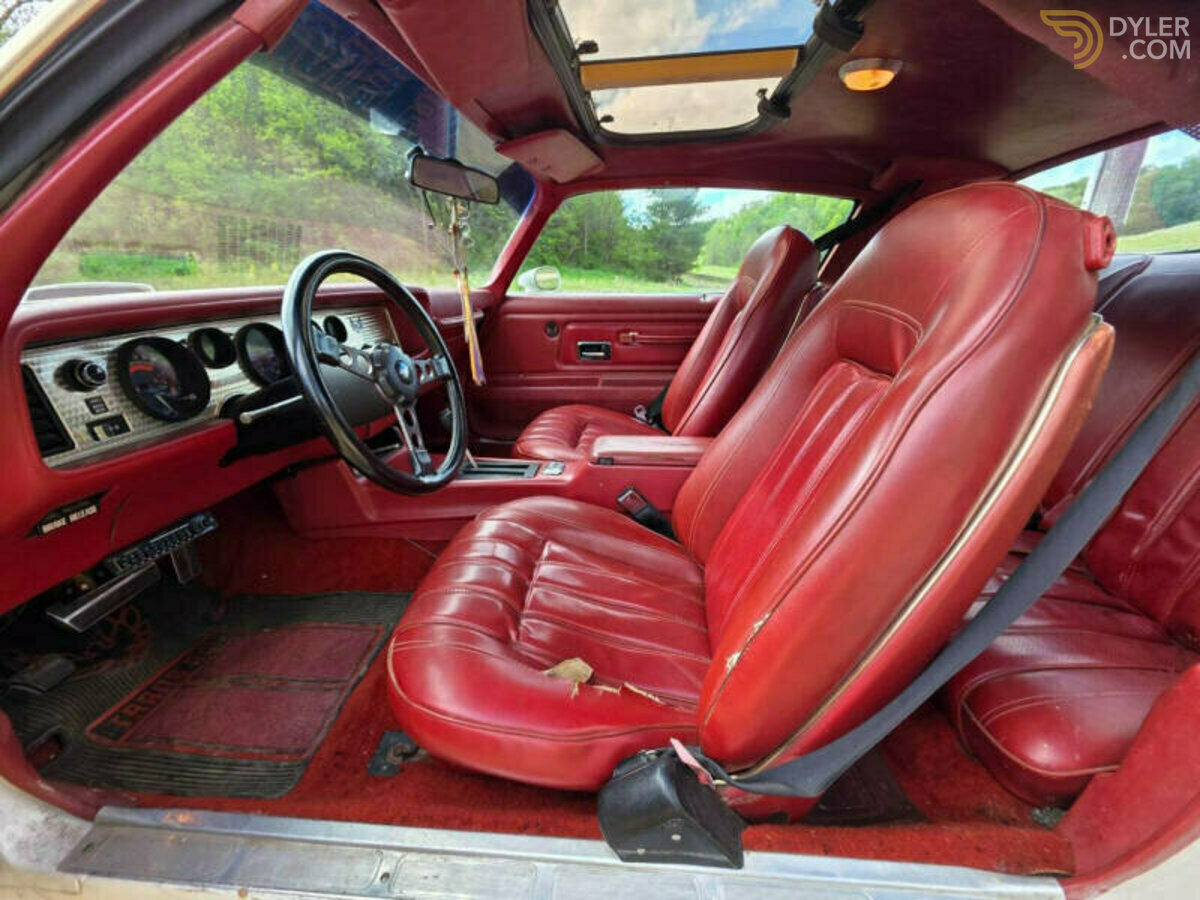 1976 Pontiac Firebird Trans Am 400, foto 8