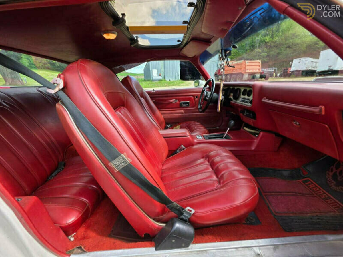 1976 Pontiac Firebird Trans Am 400, foto 9