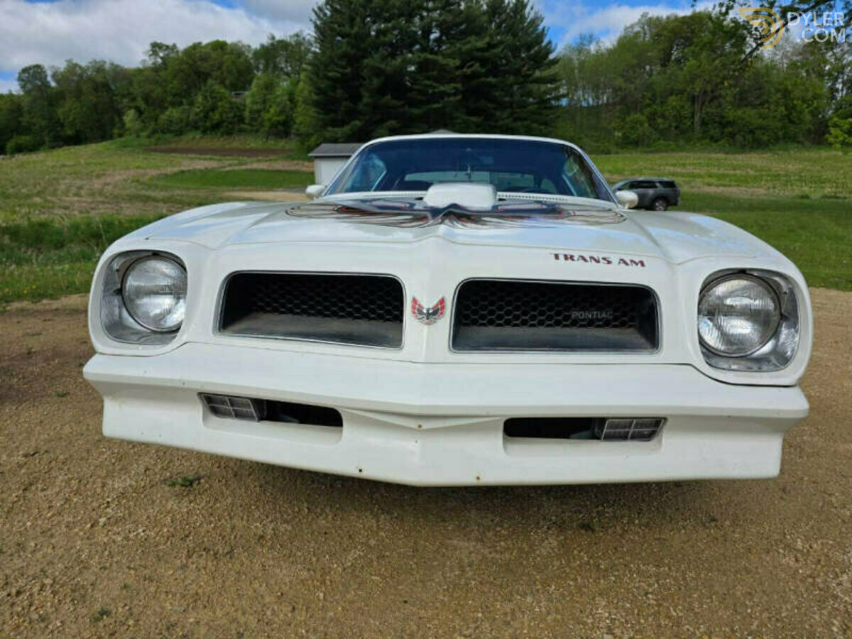 1976 Pontiac Firebird Trans Am 400, foto 10