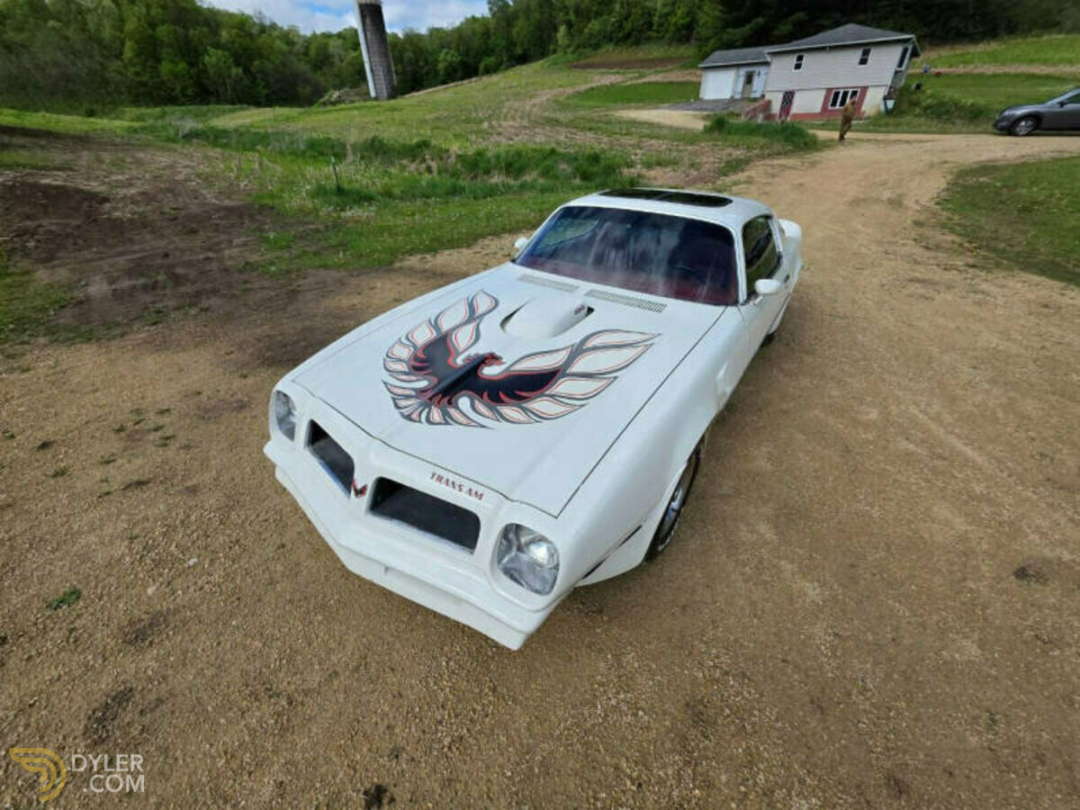 1976 Pontiac Firebird Trans Am 400, foto 12