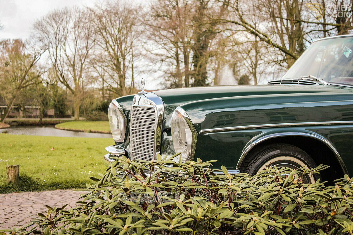 1962 Mercedes-Benz 220 SE Cabriolet, foto 3