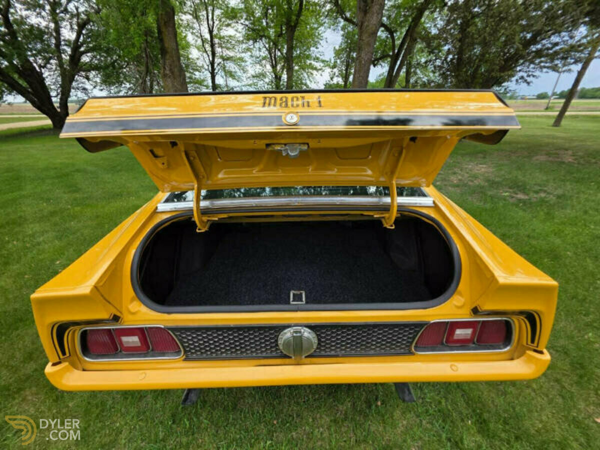 1971 Ford Mustang Mach 1, foto 7