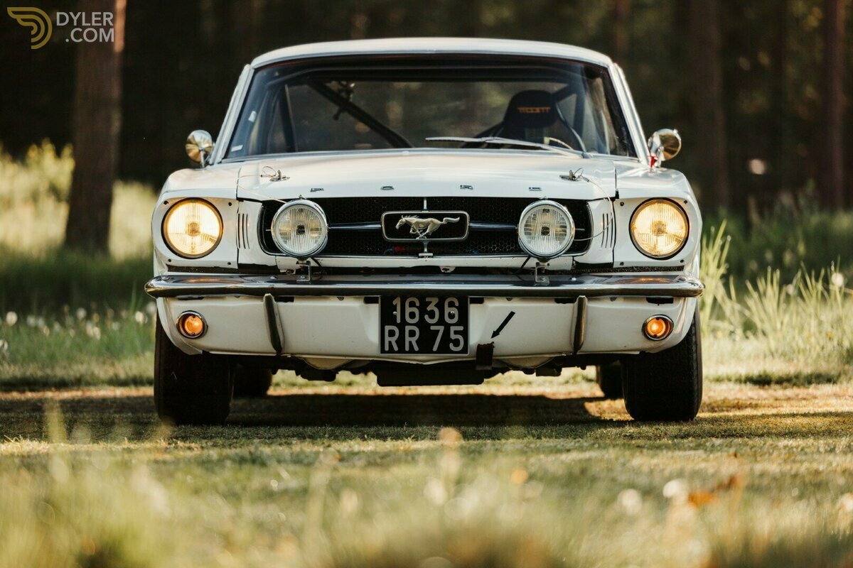 1965 Ford Mustang Notchback, foto 3