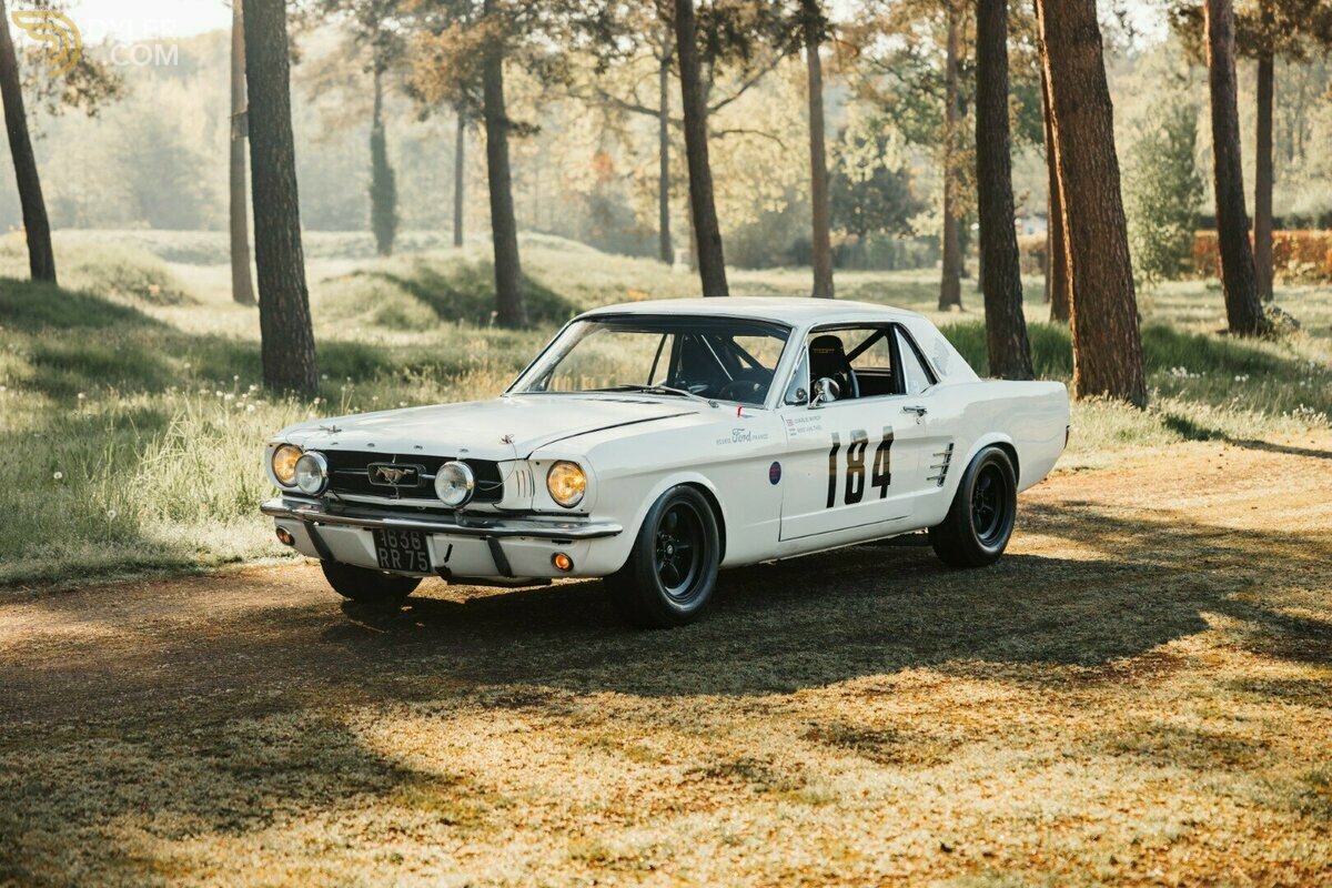 1965 Ford Mustang Notchback, foto 2