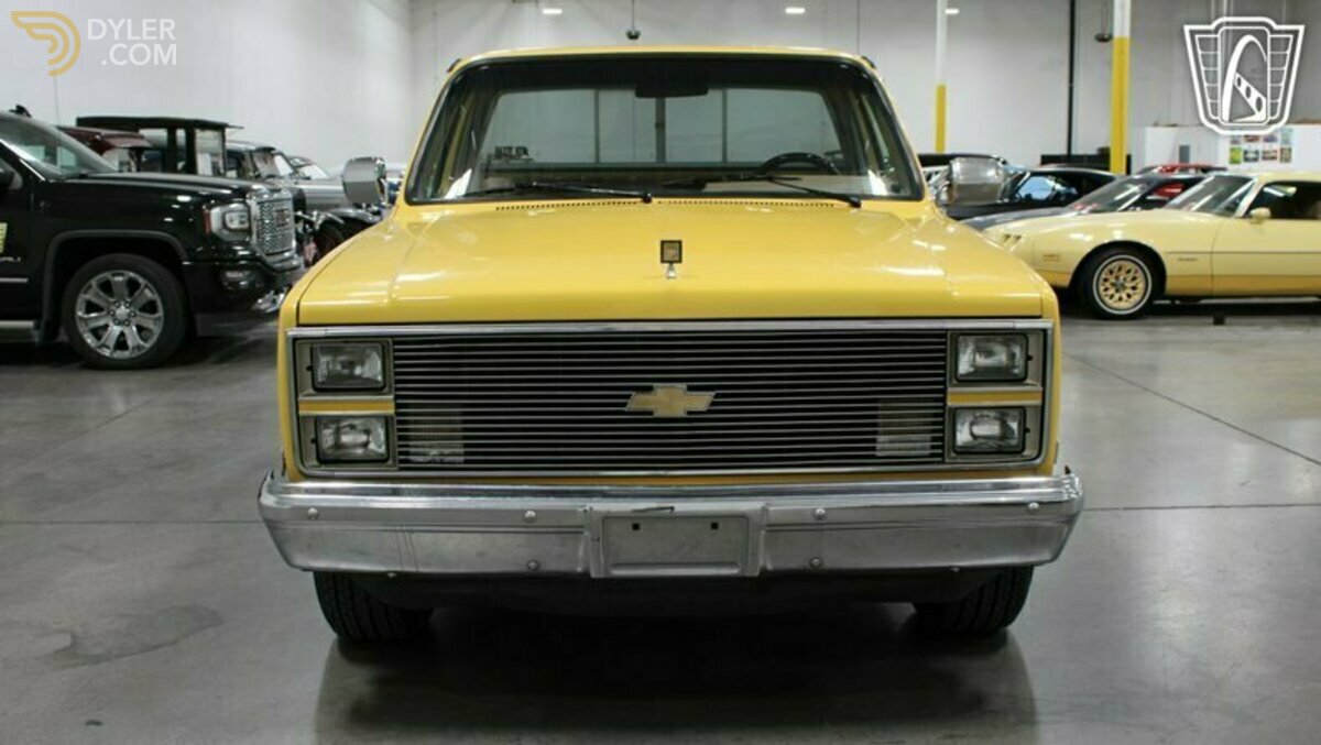 1984 Chevrolet C10, foto 10