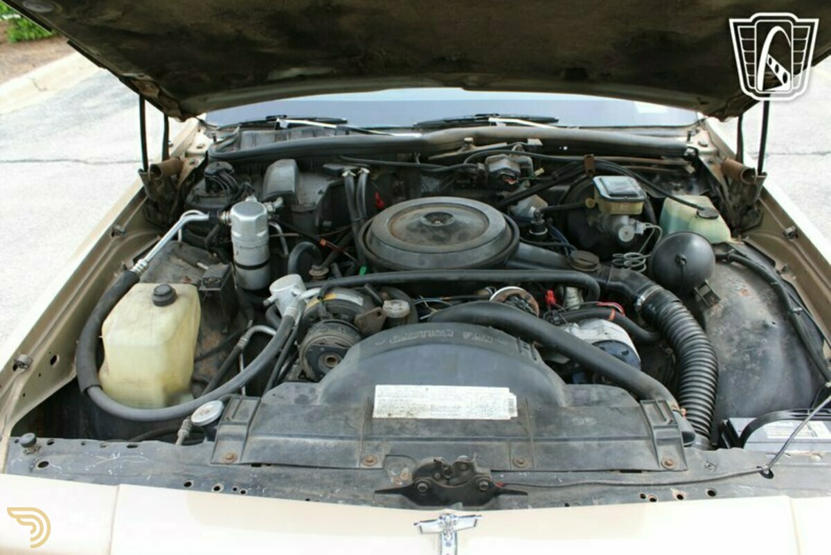 1987 Chevrolet Caprice Classic Station Wagon, foto 7