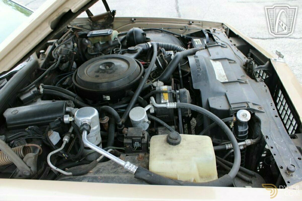 1987 Chevrolet Caprice Classic Station Wagon, foto 8