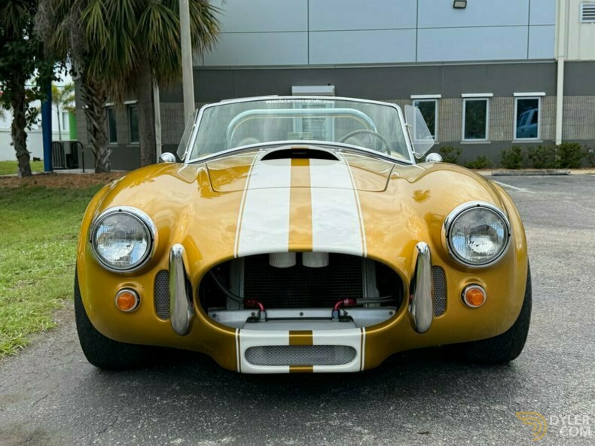 1966 Shelby Cobra Replica, foto 3