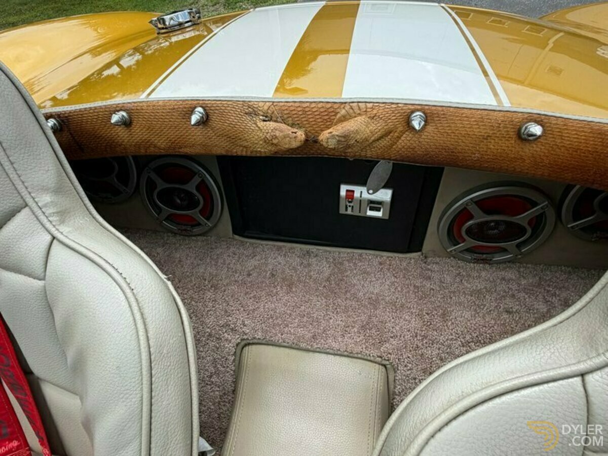 1966 Shelby Cobra Replica, foto 7