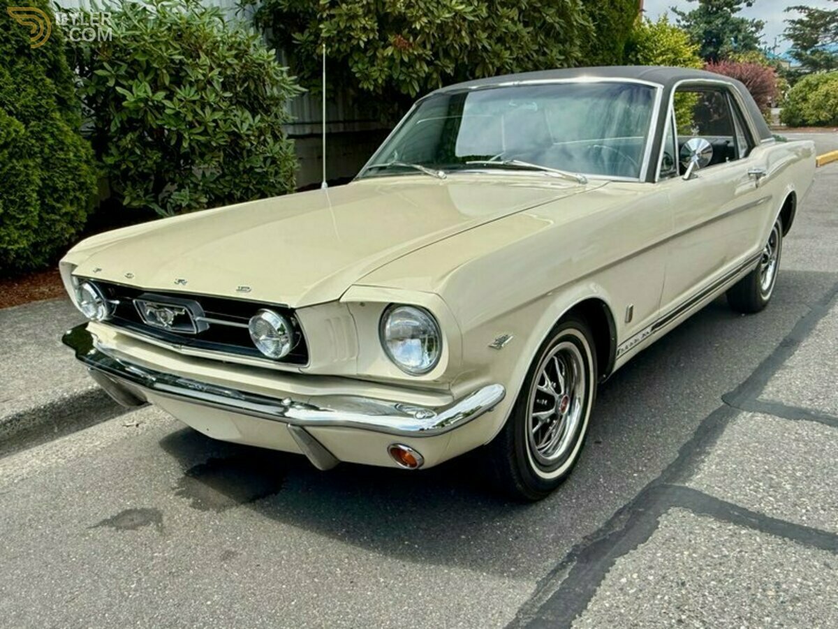 1966 Ford Mustang, foto 1