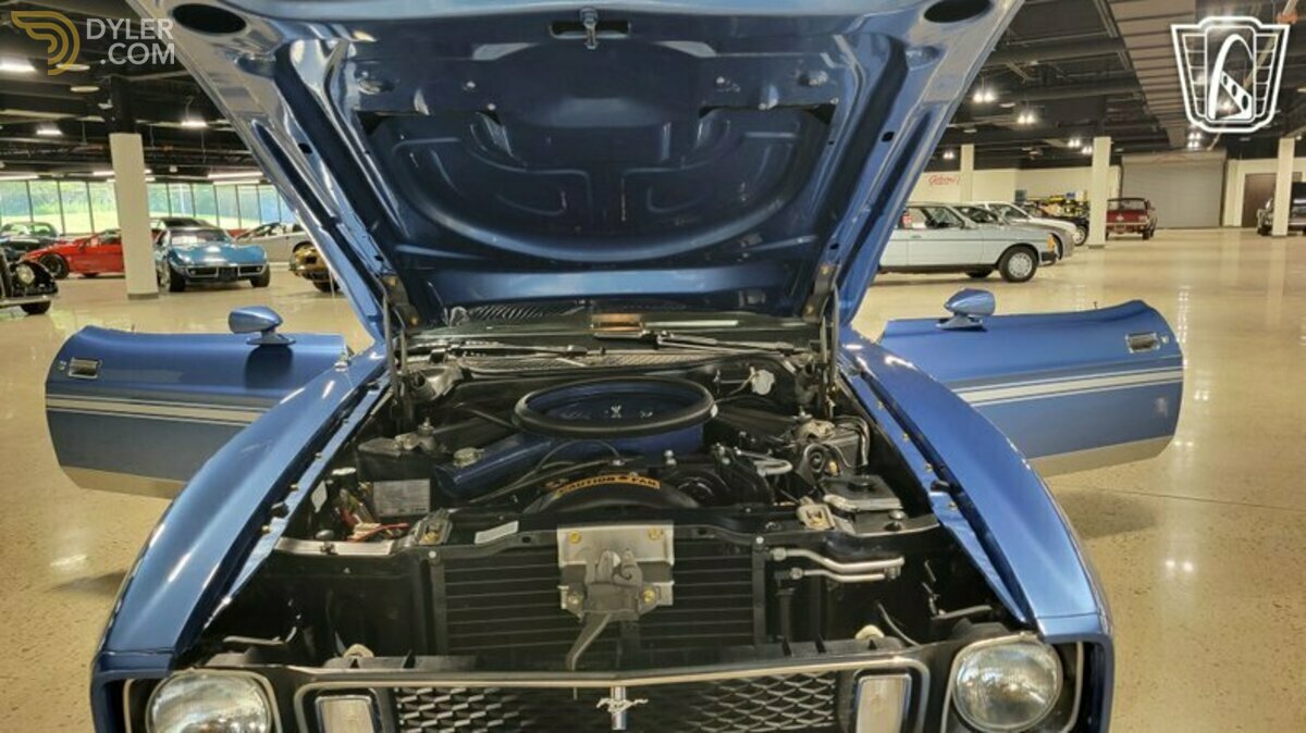 1973 Ford Mustang, foto 11