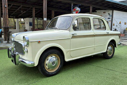 Classic 1957 Fiat 1100 /103 E TV For Sale. Price 37 500 eur - Dyler