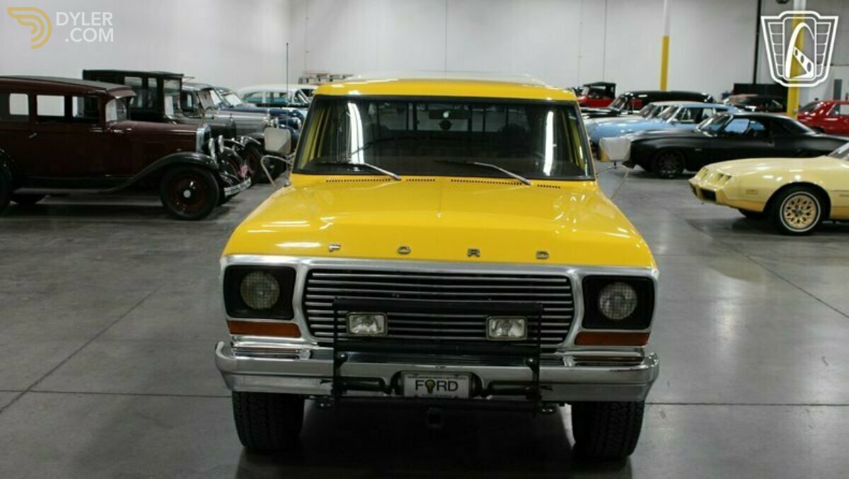 1978 Ford Pickup Custom, foto 3