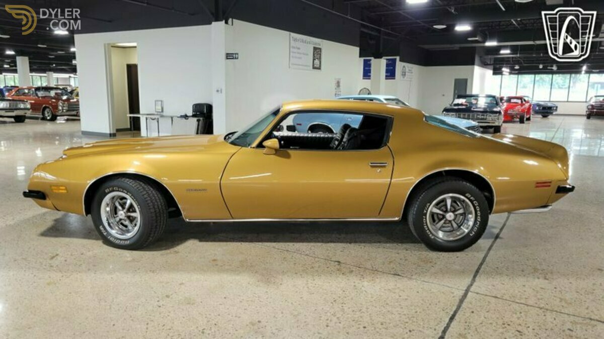 1974 Pontiac Firebird, foto 2