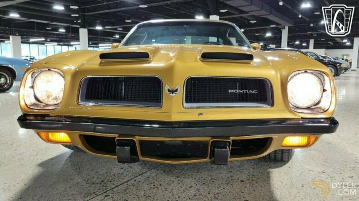 1974 Pontiac Firebird, foto 9