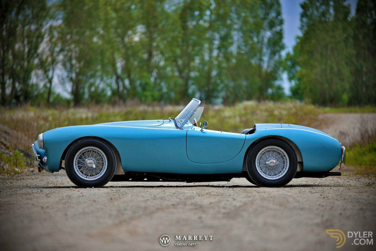 1951 AC Ace 2.6L 'Ruddspeed' Recreation, foto 2