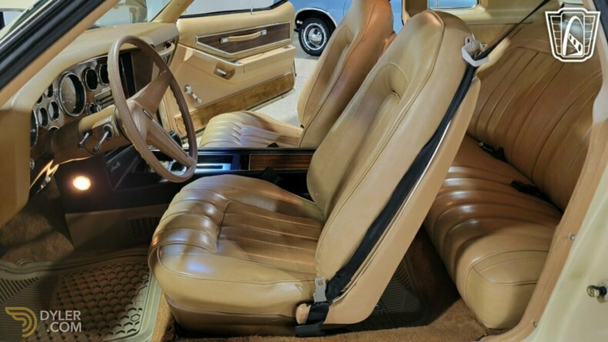 1976 Pontiac Grand Prix, foto 12
