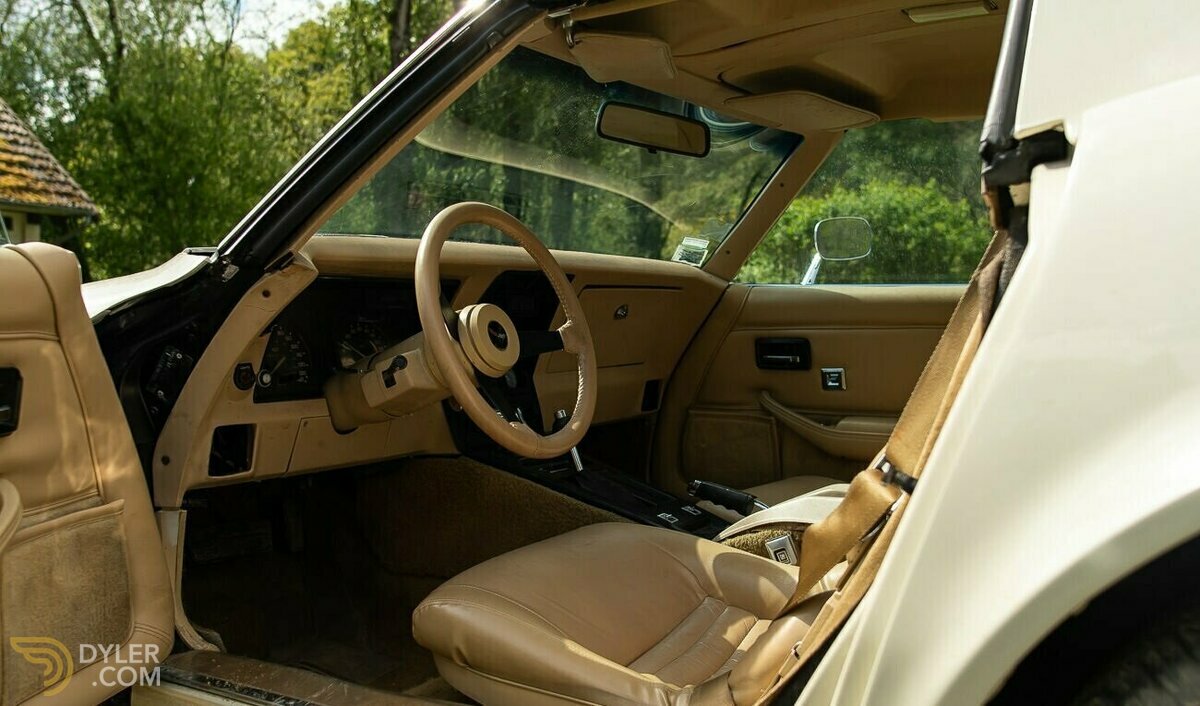 1980 Chevrolet Corvette C3, foto 5