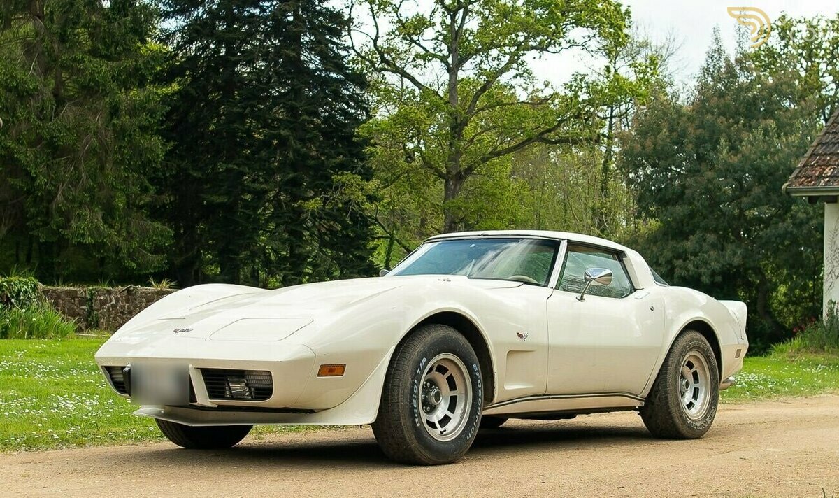 1980 Chevrolet Corvette C3, foto 1