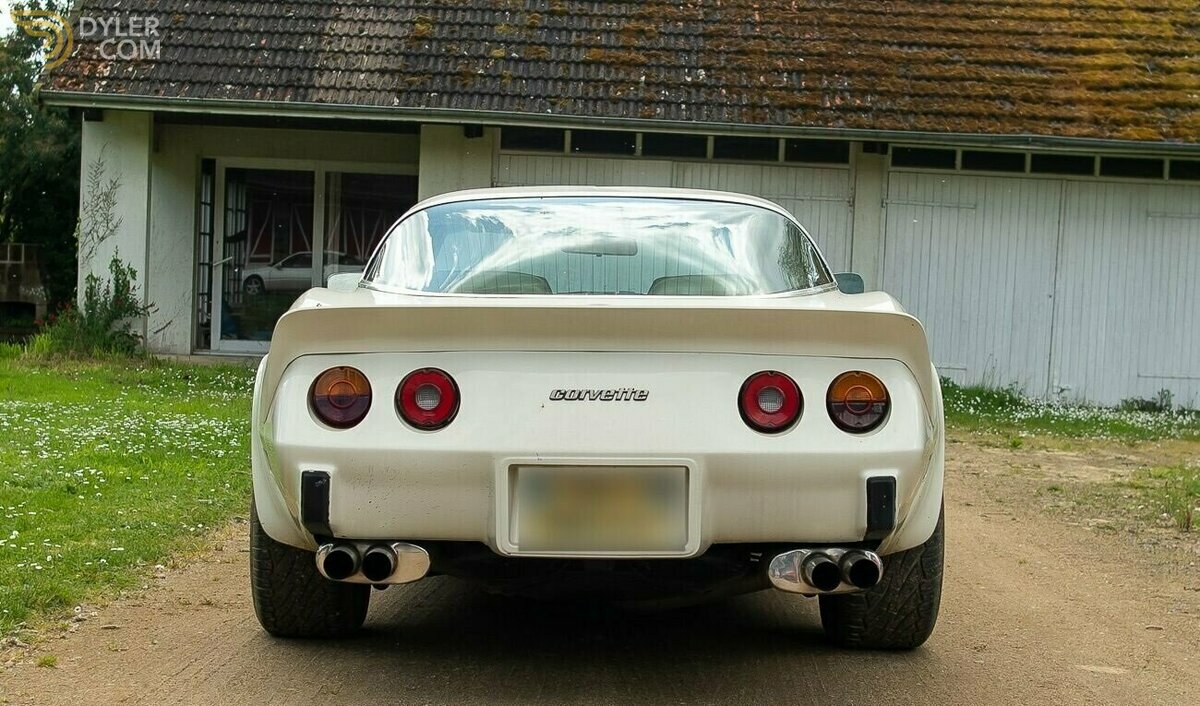 1980 Chevrolet Corvette C3, foto 8