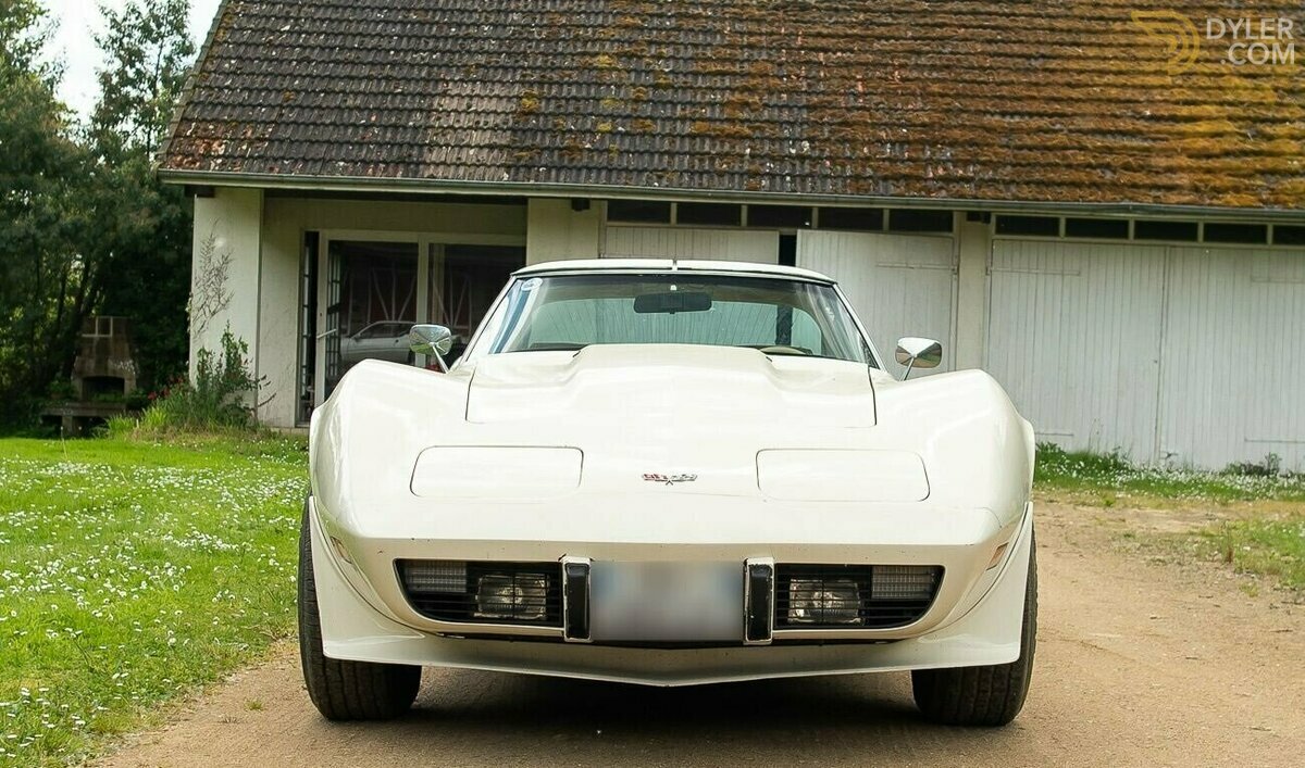 1980 Chevrolet Corvette C3, foto 2