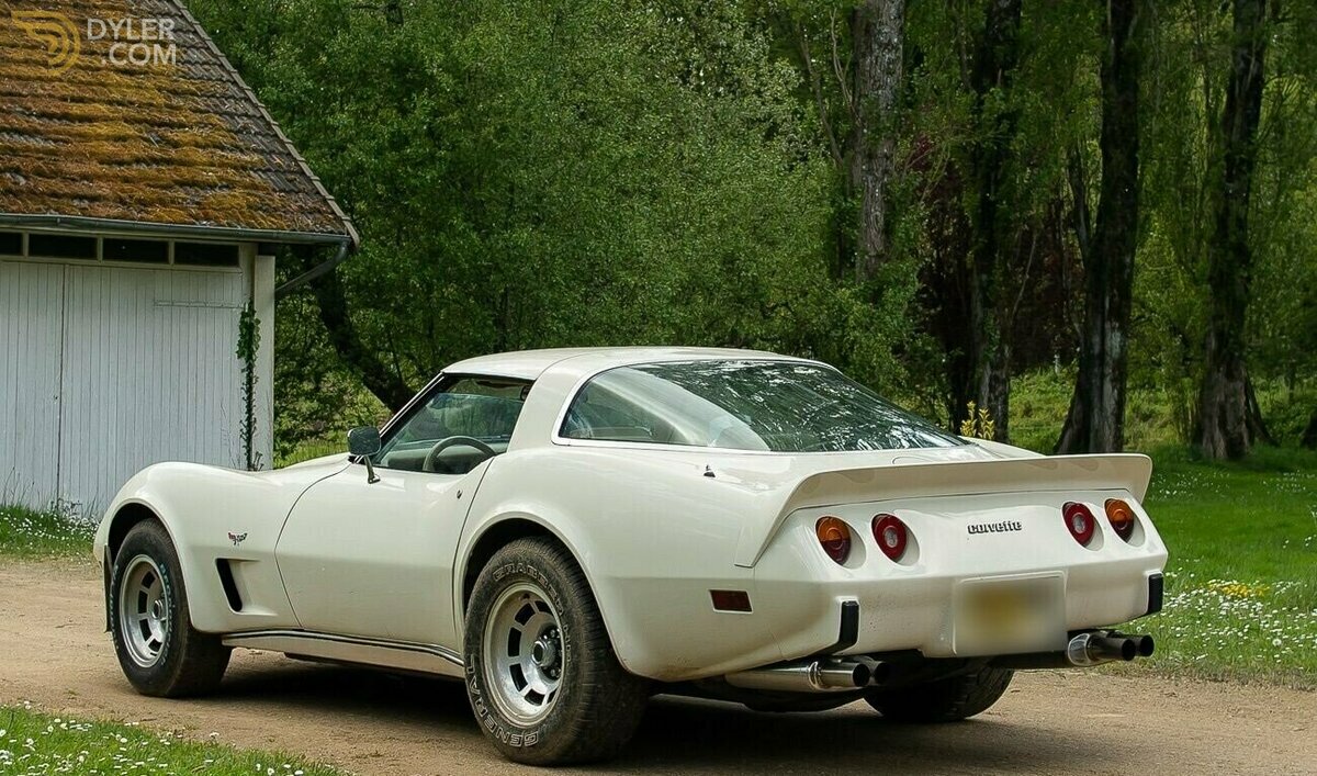 1980 Chevrolet Corvette C3, foto 10