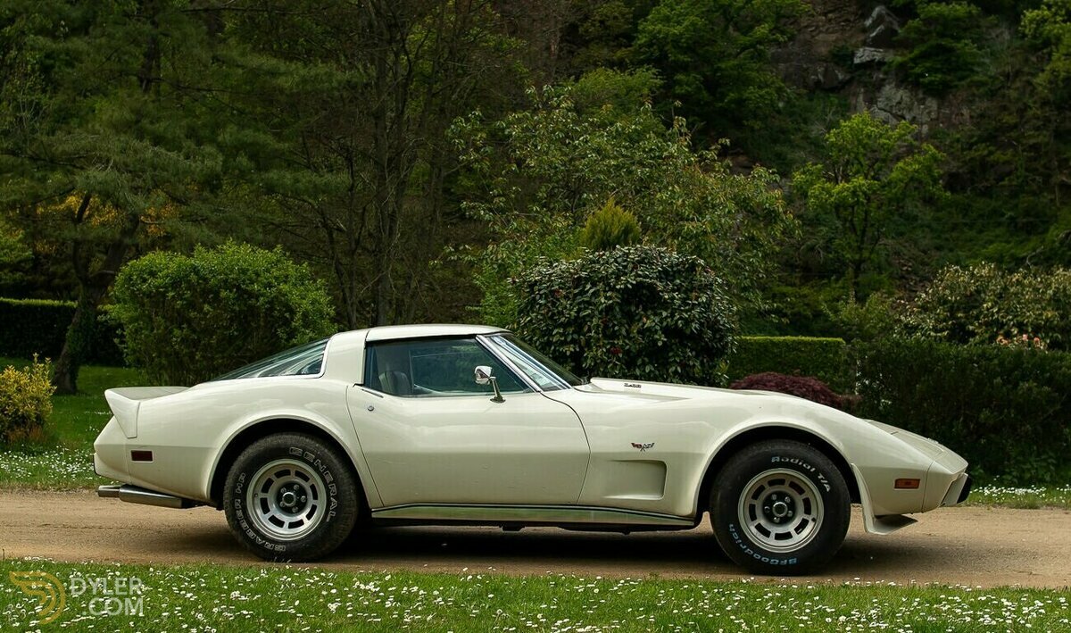 1980 Chevrolet Corvette C3, foto 3