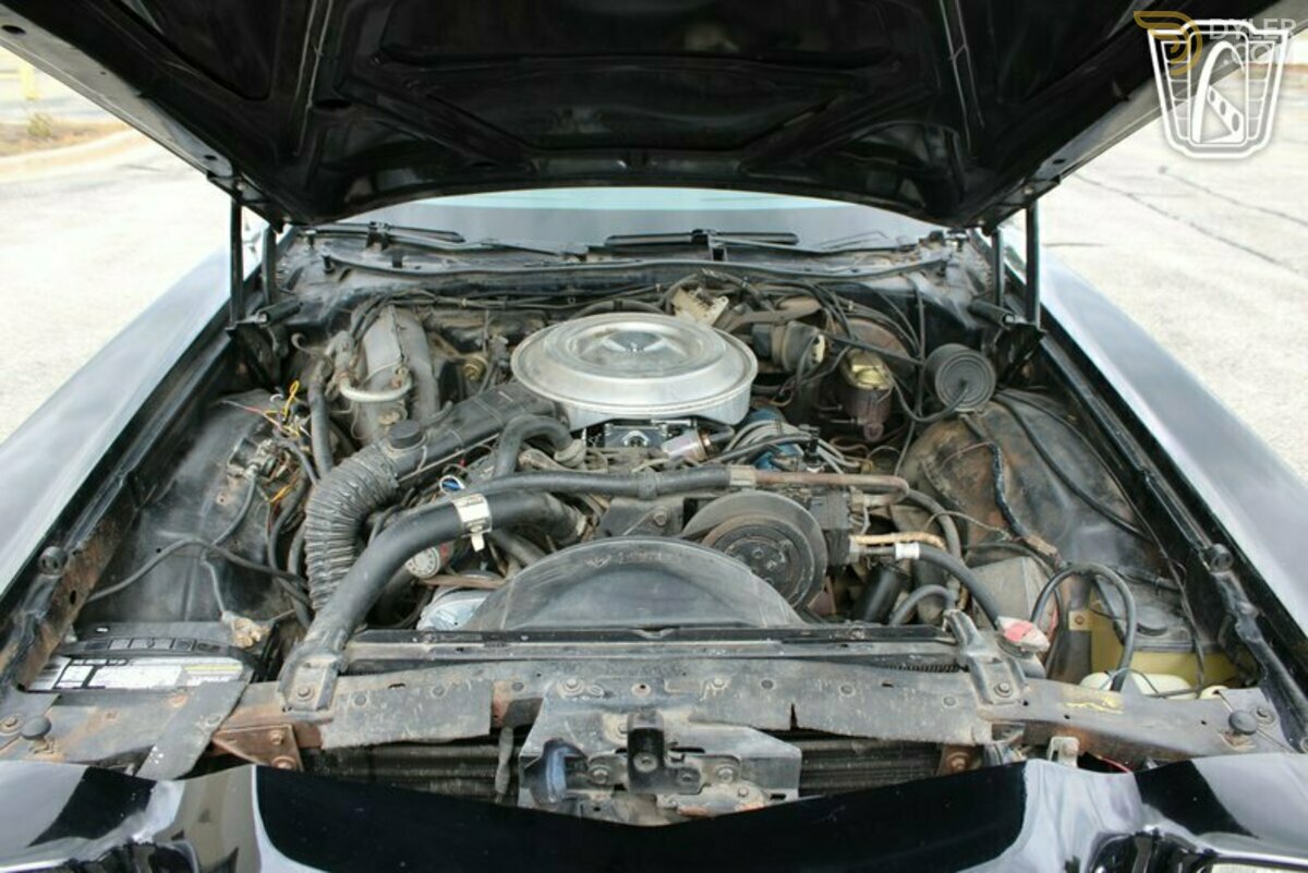 1979 Ford Pickup GT Brougham, foto 8