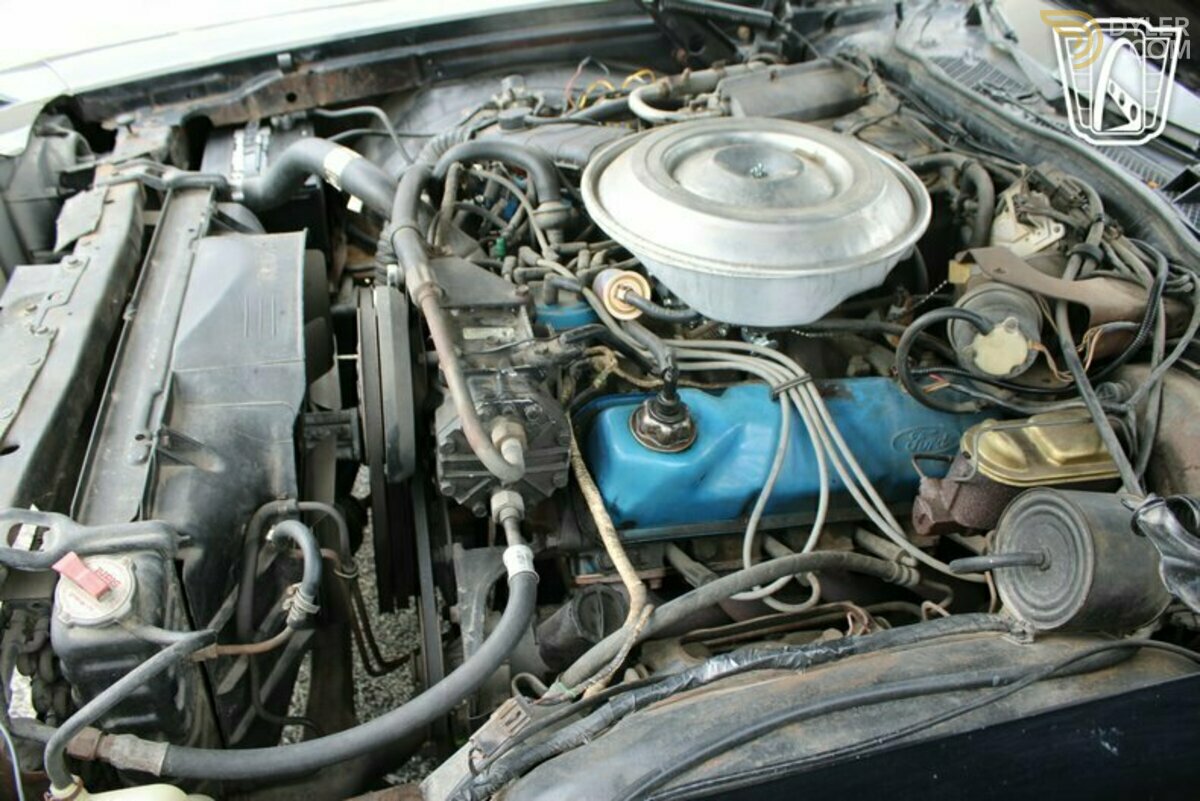 1979 Ford Pickup GT Brougham, foto 9