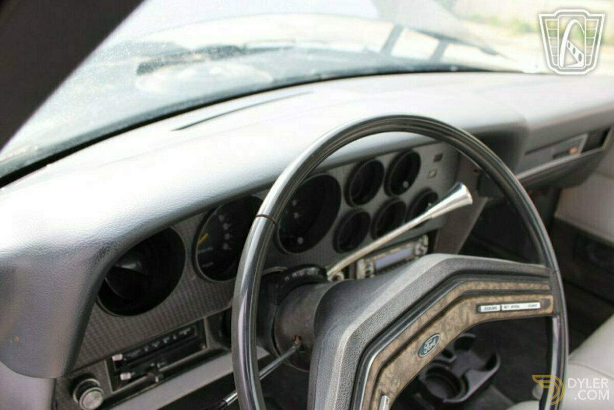 1979 Ford Pickup GT Brougham, foto 12