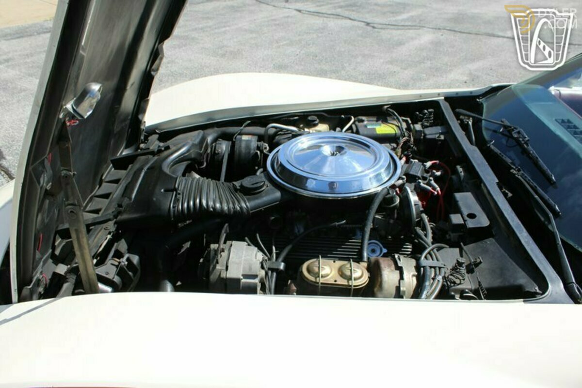 1981 Chevrolet Corvette, foto 8