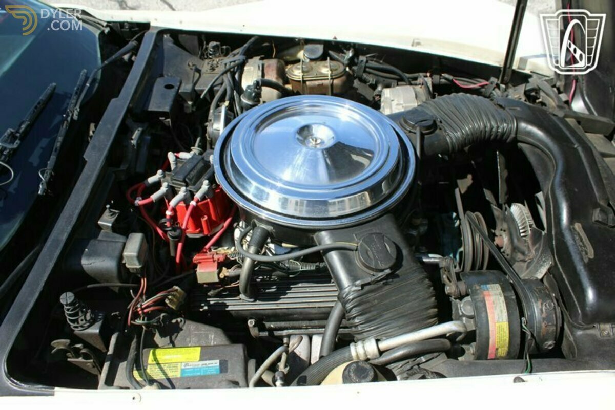 1981 Chevrolet Corvette, foto 9