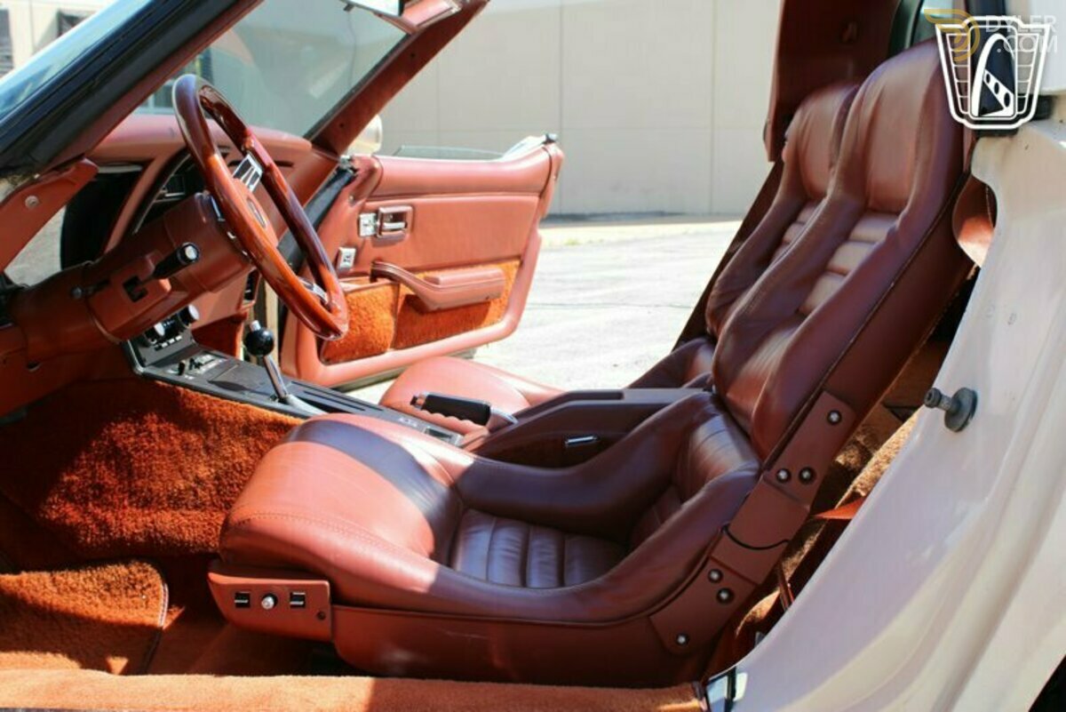 1981 Chevrolet Corvette, foto 10