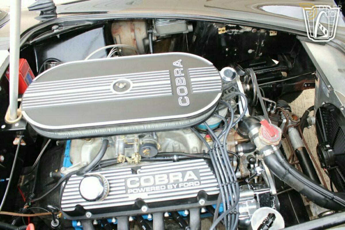 1965 Shelby Cobra Replica, foto 5