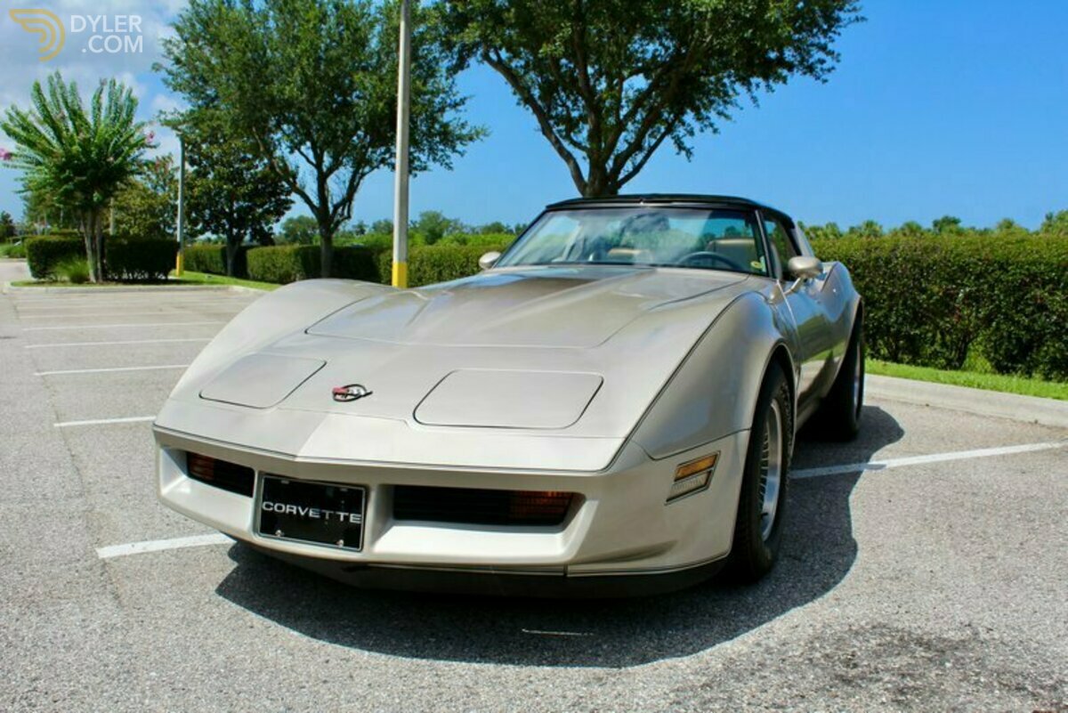1982 Chevrolet Corvette 2dr Hatchback, foto 6
