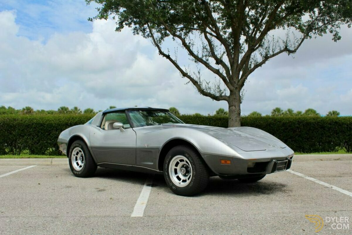 1978 Chevrolet Corvette Silver Anniversary Edition, foto 1