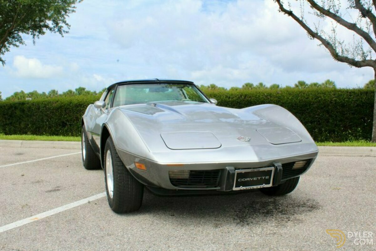 1978 Chevrolet Corvette Silver Anniversary Edition, foto 5